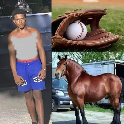 Muere prospecto del béisbol de 14 años al consumir esteroides