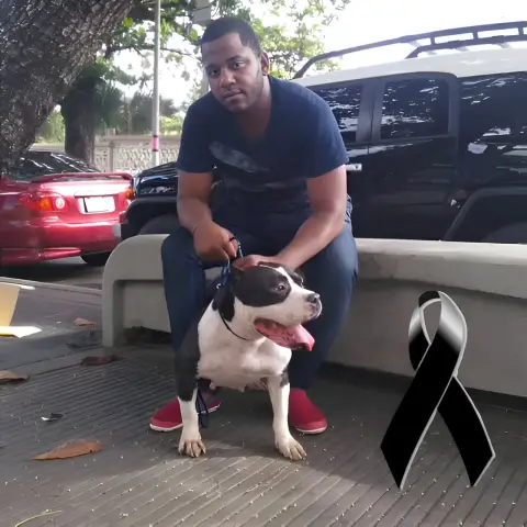Iba a cumplir años esta semana. 😭 Padre Santo! Se la descargaron completa y lo dejaron sin aliento. Mira cómo planearon todo