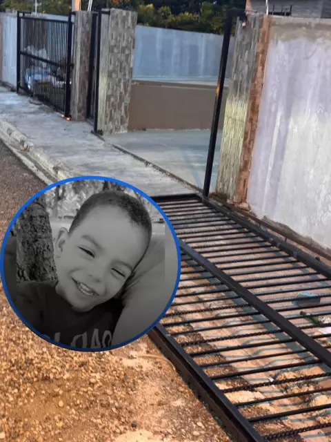 Niño muere tras caerle portón encima