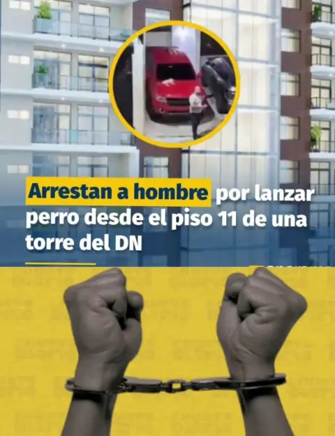 Ministerio Público detuvo a acusado de lanzar un perro desde el piso 11C