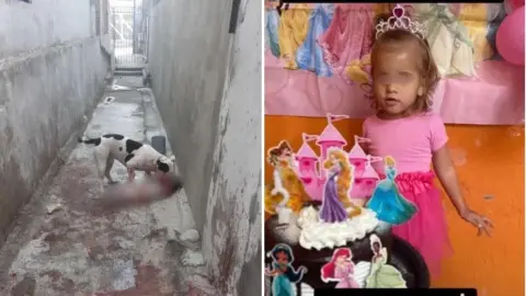Familia adopta a un pitbull y mata a su hija un día después de cumplir 2 años