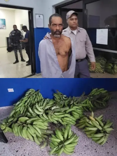 Hombre es detenido por robar plátanos; alega que solo quería cenar